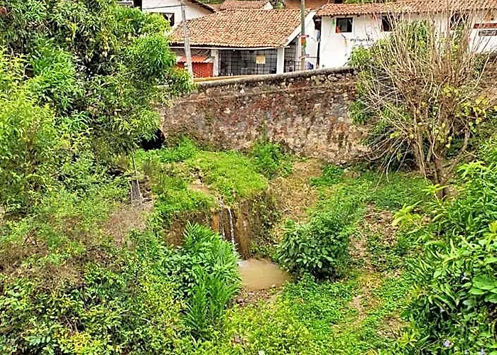Casa Dos Gallos